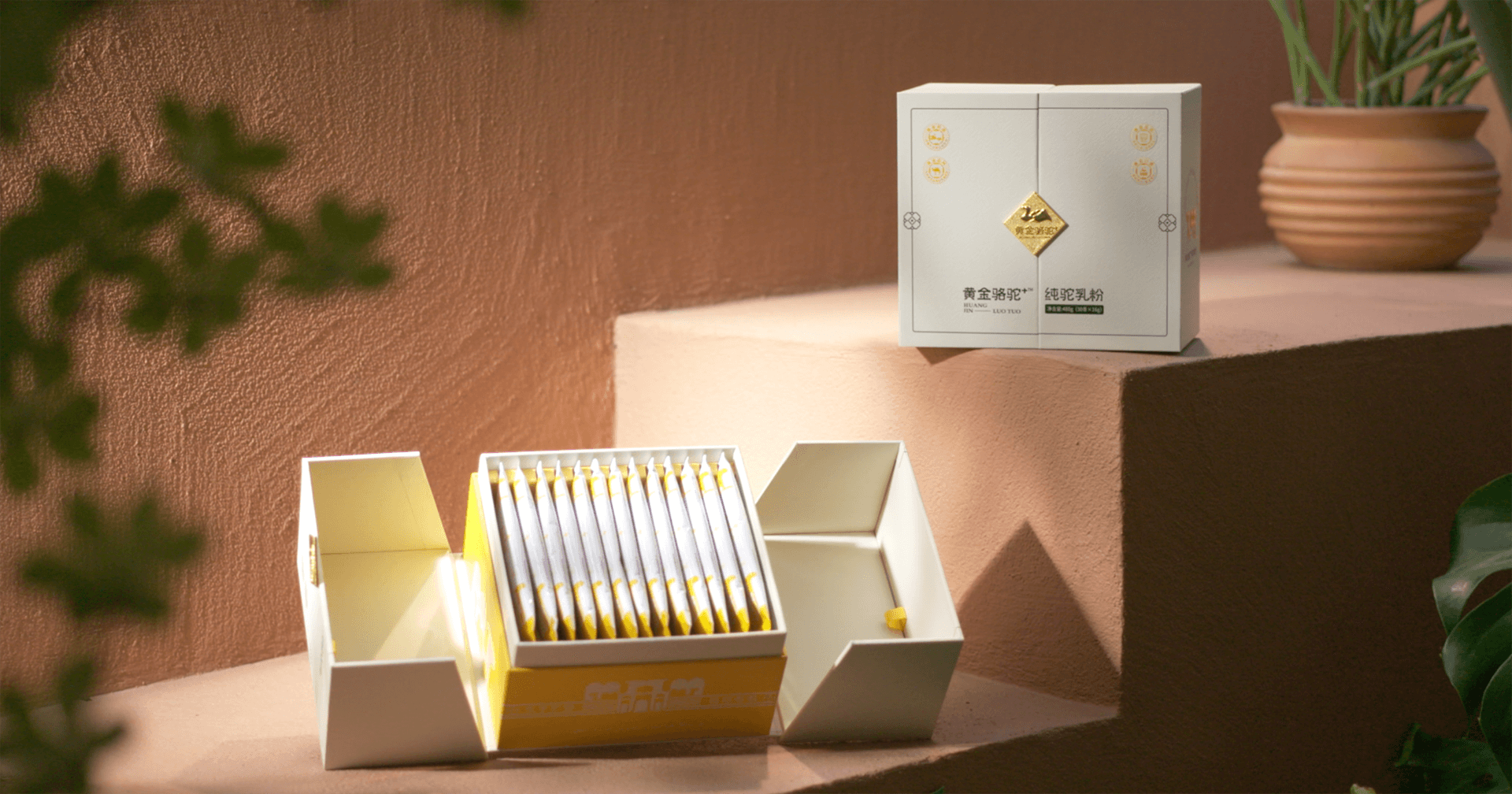 定位小众高端乳粉，ag凯发推出驼奶品牌“黄金骆驼+”，角逐乳品新市场！